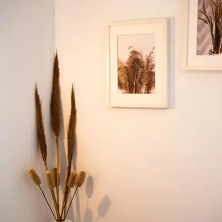 Margo Cozy Mavrovoúnion